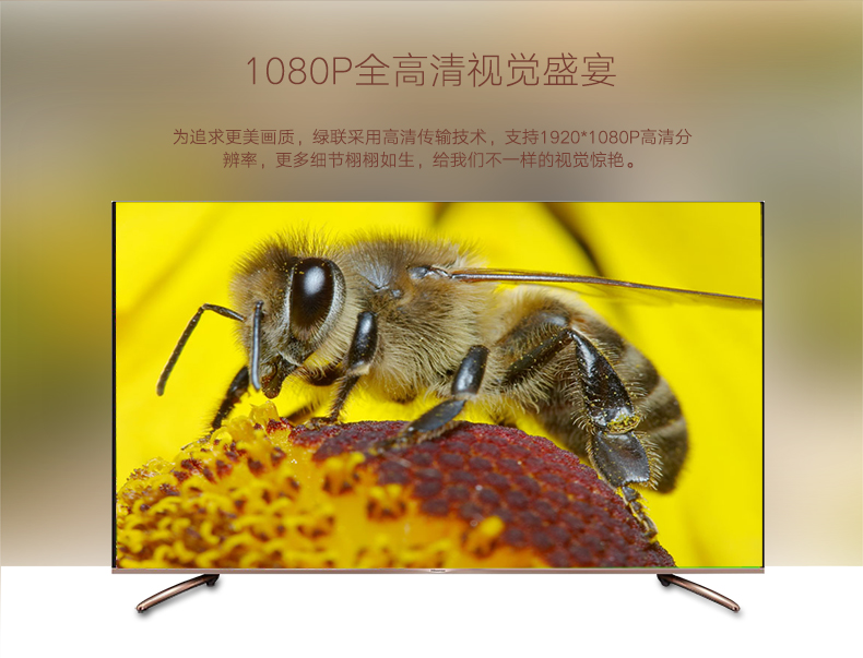 UGREEN绿联-更专业更安心的数码品牌
