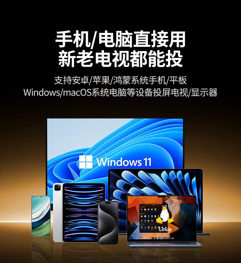 绿联P301-55500 电脑即连即投