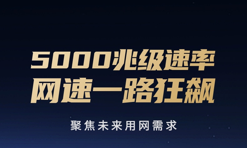 绿联Type-C转5GbE网卡 高阶瑞昱芯片 5GbE极速传输