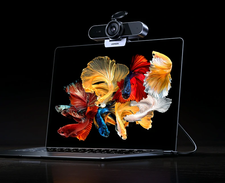 弱光优化表现 - 室内光线不足仍保持画面明亮 绿联CM827低光环境成像效果展示