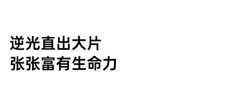 UGREEN绿联-品质新体验,数码选绿联
