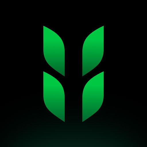 1xBET智联